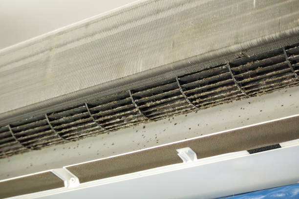 Best Emergency Air Duct Cleaning  in Crivitz, WI